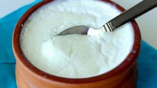 Picture of Dahi  daahi / Curd 100g