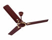 Picture of Usha Trump Plus 1200mm Ceiling Fan ( Rich Brown )