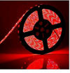 Picture of Non Waterproof LED SMD Strip Light with Driver 12V DC 5 metres Red