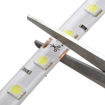 Picture of Non Waterproof LED SMD Strip Light with Driver 12V DC 5 metres Red