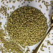 Picture of Masala Coriander Seeds, khada dhana,| Dhaniya Seeds | Sabut Dhania | Whole Dhania Seeds | Dhania Whole 250g