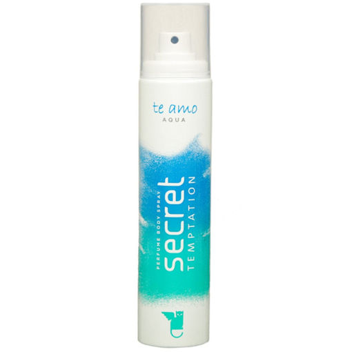 Picture of Secret temptation perfume Body Spray aqua 120 ml