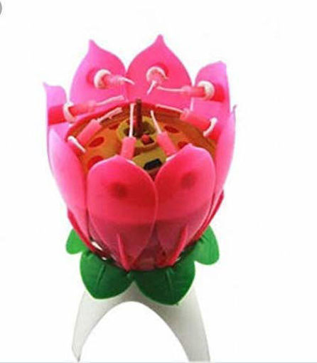 Picture of Rotating Music Lotus Flower Candle