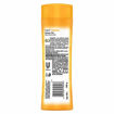 Picture of ponds sandal radiance talc, Natural Sunscreen 300g