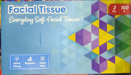 Picture of Facial Tissue 100 pics