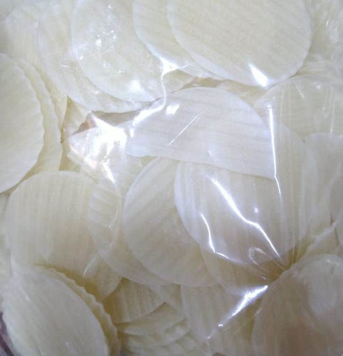 Picture of TIKTOK Item potato Papad Falhari chips For Fast To Eat And Ready to Fry, Falhari chips, 500g