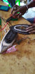 Picture of Repair light weight cloths iron press