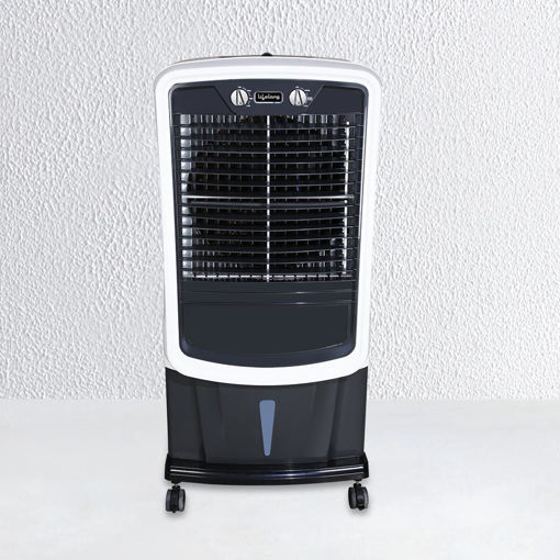 Picture of Home Repair service Lifelong air cooler
