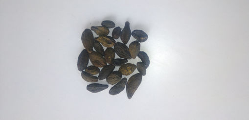 Picture of harad choti kali jadi buti 50g